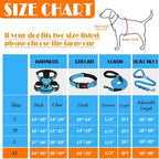 No Pull Dog Harness, Collar & Leash Set | Includes Dog Seat Belt, Collapsible Bowls & Poop Bag Dispenser. Ideal for Training, Walking, Hiking. Fits Small to Large Dogs(Blue-XL)