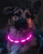 Joytale Light Up Dog Collar, Rechargeable Rainproof LED Collar for Night Walking Safety, Soft Silicone Glow in The Dark, Suitable for Small Medium Large Dogs, Purple