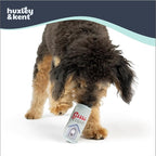 Huxley & Kent Funny Dog Toy w/Squeaker – Power Plush Squeaky Dog Toys for Small Dogs – Durable Small Stuffed Animal for Indoor Play & Fetch - Tiny Tuff Grrrs Light