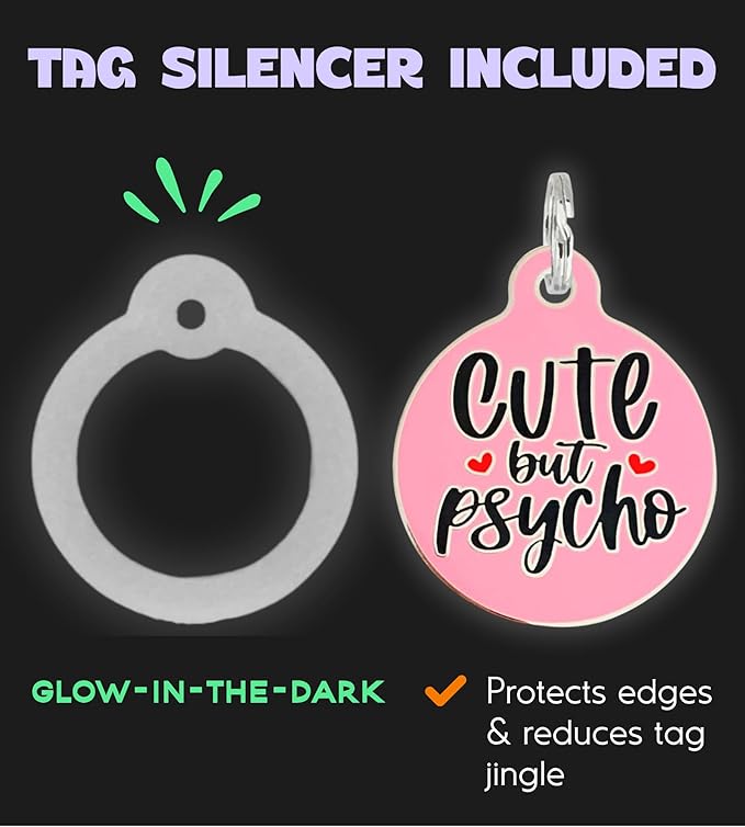 Personalized QR Code Dog Tags - Choose from 25+ Tag Designs - QR Code Links to Your Profile - Unique, Cute, Funny, Sassy Pet ID Tag (Cute But Psycho, Large (1.25 inch))