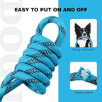 lynxking Slip Lead Dog Leash Reflective, Heavy Duty Comfortable Strong Rope for Large Medium Small Dogs No Pull Pet Training (Light Blue, Small 3/8in x 6ft-Slip Lead)