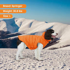 Large Dog Winter Vest for Boys & Girls, Warm Cold Weather Coat for Dogs with Back Zipper Detachable Neck Wrap, Easy On/Off Windproof Pet Snow Jacket Clothes, Weimaraner, Labrador, Orange XL