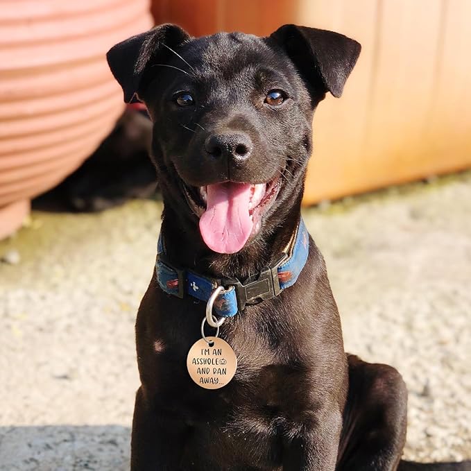 MYLUCKYTAG QR Code Stainless Steel Pet ID Tag - Personalized Online Profile, Location Alert Email, Digital ID, Durable Dog Collar Tag, Engraved