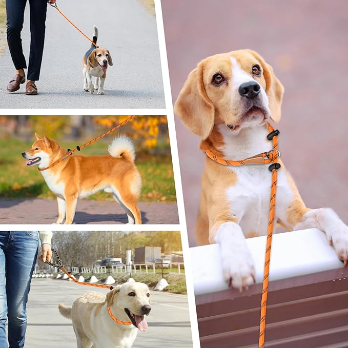 lynxking Slip Lead Dog Leash Reflective, Heavy Duty Comfortable Strong Rope for Large Medium Small Dogs No Pull Pet Training (Orange, Small 3/8in x 6ft-Slip Lead)
