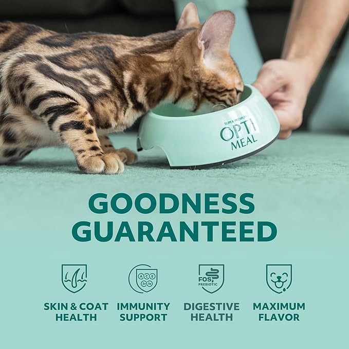 Optimeal Sensitive Stomach Dry Cat Food Recipe for Skin & Digestive Support, Premium Nutrition Made with Natural Ingredients for Adult Cats, Healthy Digestion (3.3 lbs, Salmon & Brown Rice)