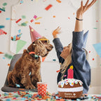 Dog Birthday Toy, Birthday Cake Toys for Puppy Gifts, Squeaky Plush Dog Toys