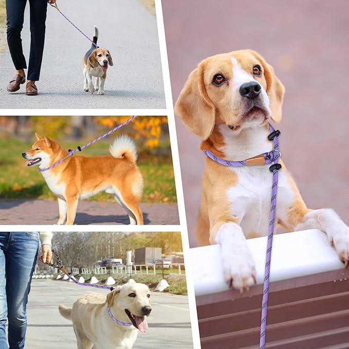 lynxking Slip Lead Dog Leash Reflective, Heavy Duty Comfortable Strong Rope Leash for Large Medium Small Dogs No Pull Training (Light Purple, Small 3/8in x 6ft-Slip Lead)