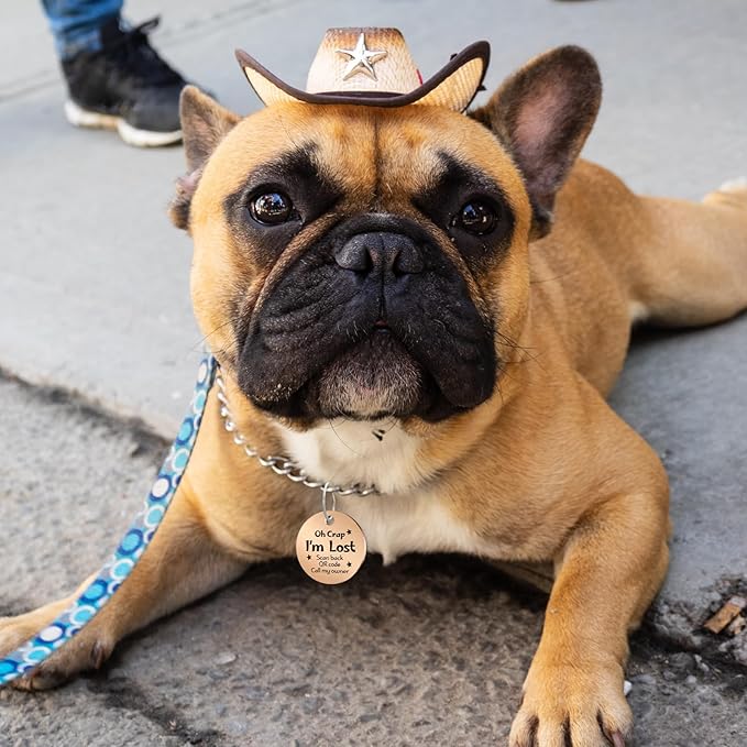 MYLUCKYTAG QR Code Stainless Steel Dog ID Tag, Engraved, Durable Dog Collar Tag with Digital Pet Profile & Location Alerts