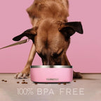 32 Oz Dog Bowl with Slow Feeder Insert Stainless Steel Pet Water Bowl for Medium & Large Breed Non Slip Rubber Base & Plastic Puzzle Feeder - Pink