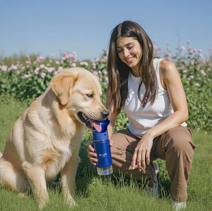 Stainless Steel Dog Travel Water Bottle, Vacuum Insulated Portable Dog Water Dispenser, Large Bottle with Drink Cup On The Go, Outdoor Walking, Hiking, Travel (Cobalt, 22oz)