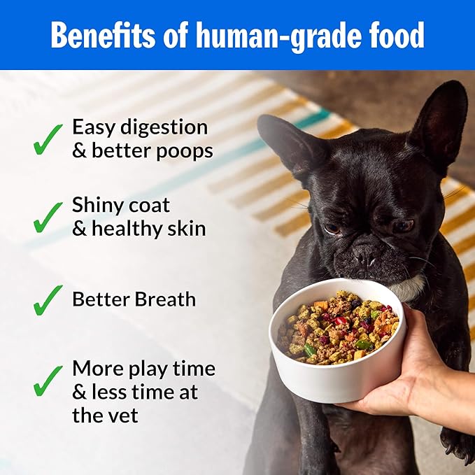 PetPlate Roost Rulin' Chicken FreshBaked Dry Dog Food, Gently Baked and Air-Dried Human Grade Dog Food, Formulated with Prebiotics and Postbiotics, Grain Free, No Fillers or by-Products 2lbs
