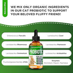 Probiotics for Cats for Digestive Support – Cat Probiotics for Indoor Cats Help with Colic, Upset Stomachs, Diarrhea, Gas, and Bloating – Prebiotics + Pleasant Chicken Flavor Inside – 2 Oz