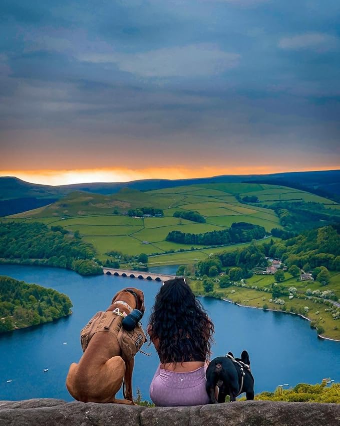 Lesotc Dog Water Bottle, Portable Water Dispenser with Bowl, Leak Proof Pet Travel Squeeze Bottle, Puppy Essentials Dog Stuff Accessories for Outdoor Walking, Hiking, Camping