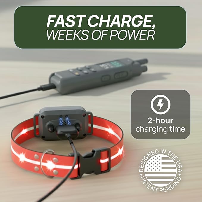 2-in-1 Dog Shock Collar with Remote & 360° LED Safety Lights – 4200FT Range Dog Training Collar, IPX7 Waterproof, 4 Training Modes, Rechargeable E-Collar for Small Medium & Large Dogs (10-120lbs)