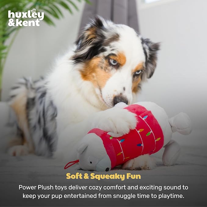 Huxley & Kent Funny Dog Toy w/Squeaker – Holiday Power Plush Squeaky Dog Toys for Small, Medium & Large Dogs – Soft Stuffed Animal for Indoor Play & Fetch - Deck The Bear, Small