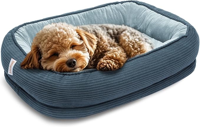 Miguel Cat Beds for Indoor Cats, Small Dog Bed Orthopedic, Memory Foam Pet Bed Washable Removable Cover, Calming Puppy Bed with Sides, Dog Couch Comfort Sofa, Egg Foam Support, Blue 20 inches