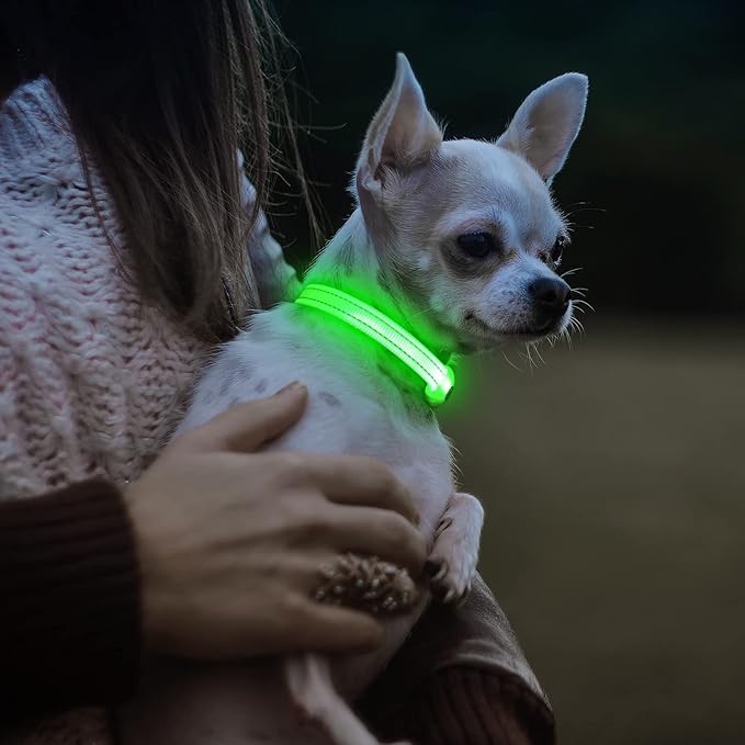 Visinite Light Up Dog Collars for Small Dogs,LED Dog Collar Light Rechargeable,Fully Adjustable Lighted Dog Collar,Glow in The Dark Dog Collars with Dog Lights for Night Walking,Green