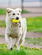 Dog Chew Toys, Puppy Toothbrush Clean Teeth Interactive Corn Toys, Dog Toys Aggressive Chewers Medium Large Breed