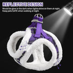 GAMUDA Small Dog Harness Collar and Leash Set, Step in No Chock No Pull Soft Mesh Adjustable Dog Vest Harnesses Plaid Reflective for Dogs Puppy Cats Kitten Rabbit (Warm Purple, L)