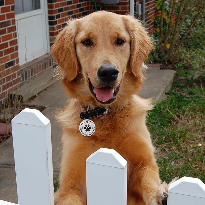 MYLUCKYTAG QR Code Stainless Steel Pet ID Tag - Personalized Online Profile, Location Alert Email, Digital ID, Durable Dog Collar Tag