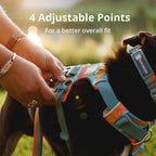 Ruffwear, Front Range Dog Harness, Reflective Soft Padded Everyday Harness with Dual Leash Clips, Adjustable and Lightweight Fit for Training or Walking for All Dogs, Blue Pool, Small