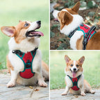 PHOEPET 2019 Upgraded No Pull Dog Harness,3M Reflective Adjustable Vest, with a Training Handle + 2 Metal Leash Hooks+ 3 Snap Buckles +4 Slide Buckles(M, Red)