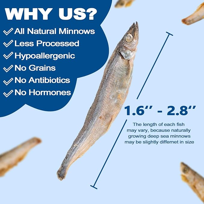 Amzey 3.5oz Minnows Dog Treats - Freeze Dried Minnows Cat Treats - High Protein & Premium Quality Training Treats - Bulk Package (1.6" to 2.8" Length Each)