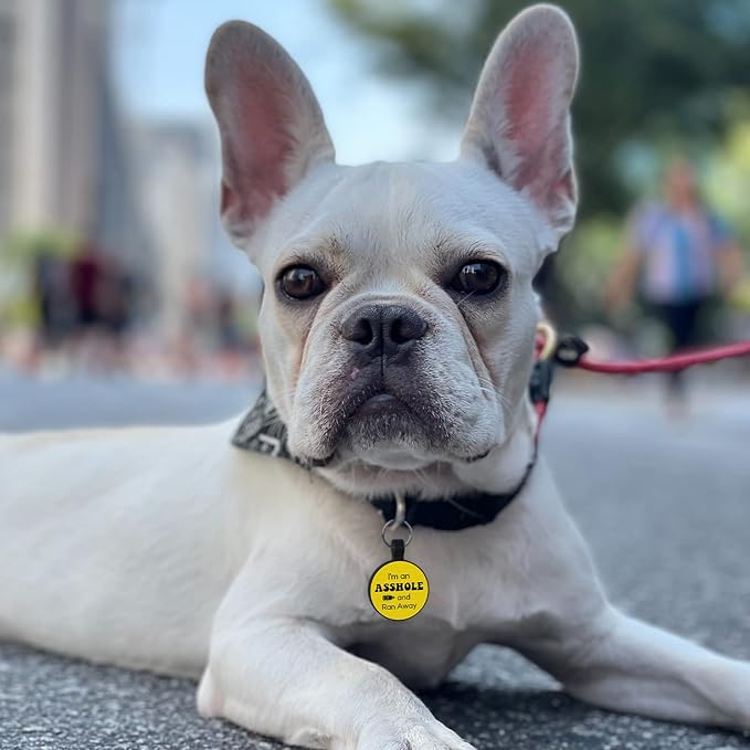 MYLUCKYTAG QR Code Silicone Pet ID Tag for Dogs and Cats, Online Profile, Location Alert Email, Digital Tag, Quiet and Durable Collar Tag, Engraved