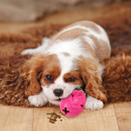 AUSCAT Dog Treat Dispensing Toys, Dispensing Puzzle Dog Toy for Aggressive Chewers, Rubber Dog Treat Dispenser, Interactive Stimulation Dog Food Toys, Pitaya Shape