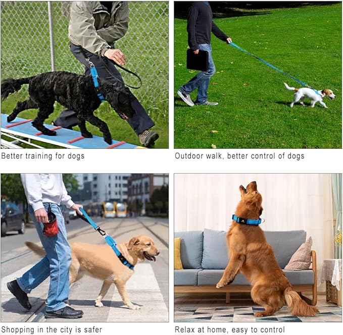 PLUTUS PET Reflective Martingale Collar with Quick Snap Buckle,No Pull Dog Collar for Small Medium Large Dogs,M,Blue