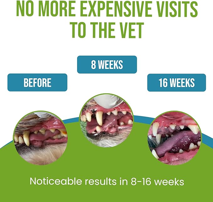 Caniclean Seaweed for Dogs Teeth - Dog Tartar Removal Tool, Plaque Remover, and Breath Freshener - Get Plaque Off Dogs Teeth Naturally. 14oz/396g.