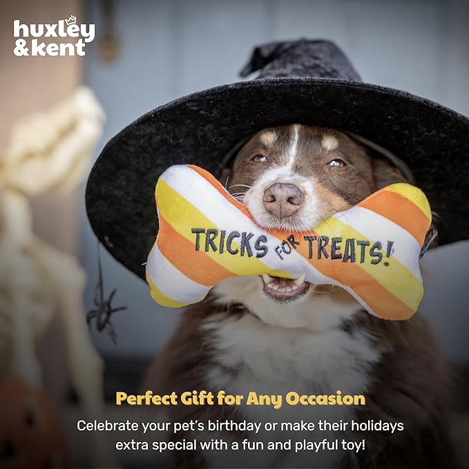Huxley & Kent Halloween Funny Dog Toy w/Squeaker – Power Plush Squeaky Dog Toys for Small, Medium & Large Dogs – Soft Stuffed Animal for Indoor Play & Fetch - Tricks for Treats, One Size