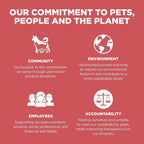 Go! Solutions Sensitivities Limited Ingredient, Grain-Free Dry Cat Food, Salmon Recipe for Sensitive Stomach, 12 lb Bag