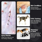 FUAMEY Dog Recovery Suit Male,Dogs Surgery Neuter Suits Puppy Spay Shirts for Female Protect Dog's Skin Anti Licking Abdominal Wounds Doggie Onesie Pet Bodysuit Alternative to Cone Red Stripes XXL