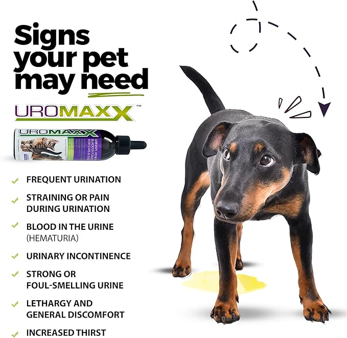 Cat & Dog Urinary Tract Treatment, Bladder & Kidney Support for Dogs and Cats, Powerful Yet Gentle Pet Care, with Liquid Cranberry & Glucosamine, Chicken Flavor, 6 oz Bottle, 2 Pack