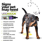 Cat & Dog Urinary Tract Treatment, Bladder & Kidney Support for Dogs and Cats, Powerful Yet Gentle Pet Care, with Liquid Cranberry & Glucosamine, Chicken Flavor, 6 oz Bottle, 3 Pack