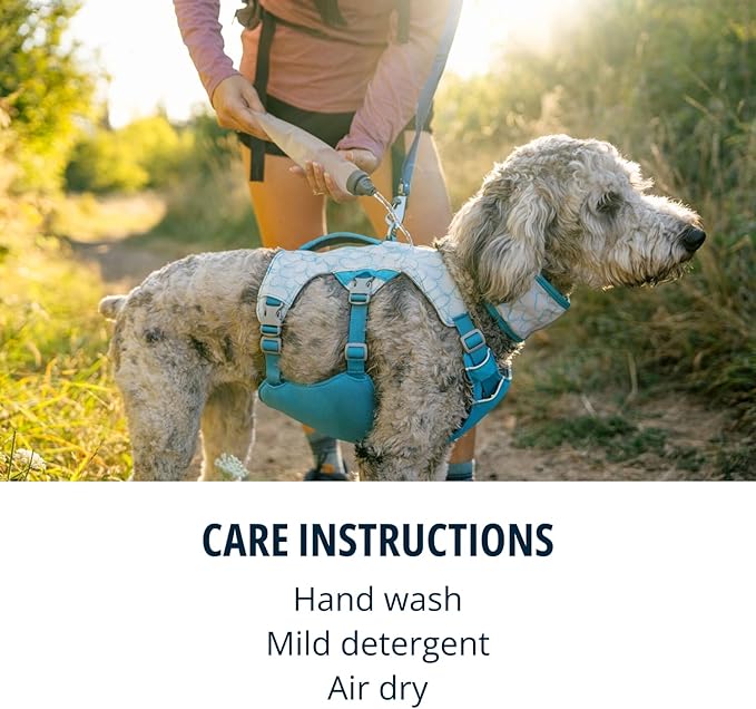 Ruffwear, Swamp Cooler Dog Harness, Lightweight with Evaporative Cooling for Hot Weather, Graphite Gray, Large/X-Large