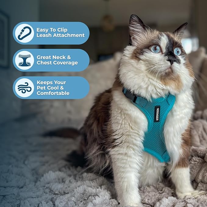 Voyager Escape-Proof Step-in Lock Cat Harness & 5ft Neoprene-Handle Leash Set All-Weather Mesh with Reflective Stitching for Small to Large Cats by Best Pet Supplies, Turquoise, XS
