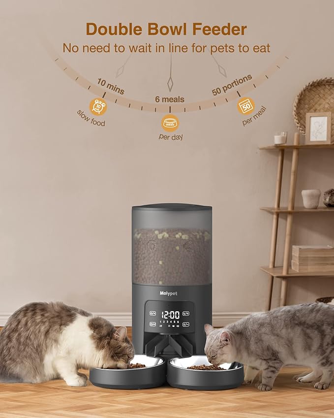 Automatic Cat Feeders - 6L Cat Food Dispenser with Double Bowls, Programmable Timed Feeder for Up to 6 Meals per Day with 10S Voice Recorder, Supports Dual Power Supply