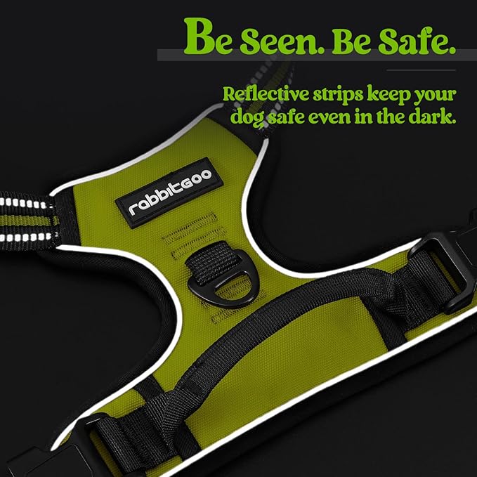 rabbitgoo Dog Harness No Pull with 2 Leash Clips, Adjustable Soft Padded, Reflective Oxford No Choke Pet Vest with Easy Control Handle for Large Dogs, Green, XL