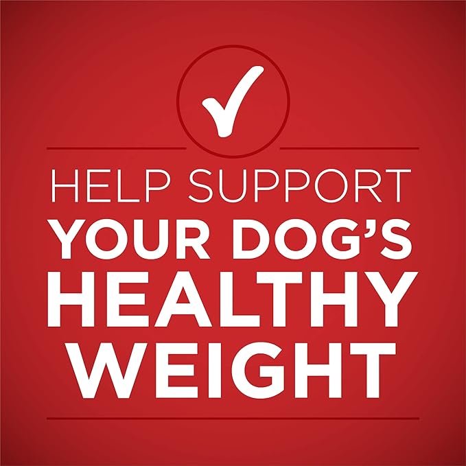 Purina ONE Plus Tender Cuts in Gravy Healthy Weight Lamb and Brown Rice Entree in Wet Dog Food Gravy - (Pack of 12) 13 oz. Cans