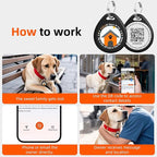 2 Pack Personalized Dog Tags,QR Code Pet ID Tags with Online Profile systerm,Editable Any Names and Phone numbles,Black&Blue,L