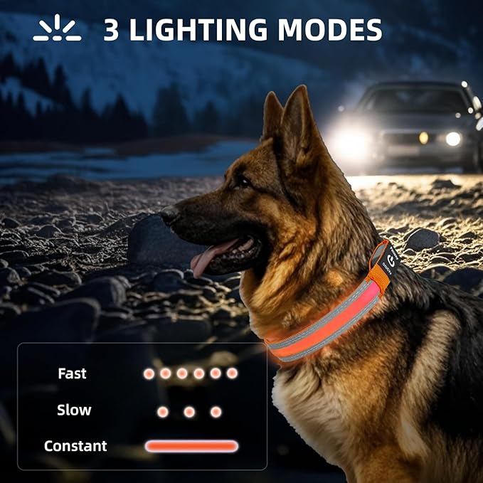 PetIsay LED Dog Collar Metal Buckle - Heavy Duty Light up Collars - Rechargeable IP68 Waterproof - Lighted Dog Collar for Night Walking, Hiking, Camping (Small, Orange)