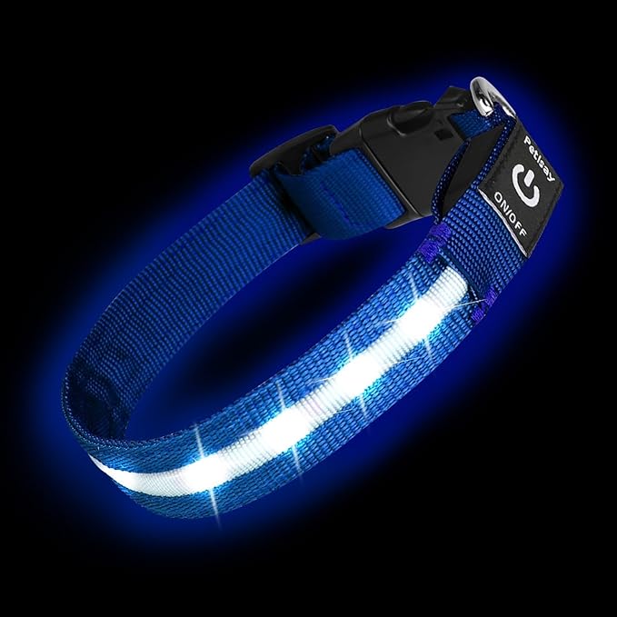 Super Bright LED Dog Collar - Fully Waterproof & Adjustable Glow Collar - USB-C Rechargeable for Night Walking, Safety - Flashing Lighted Collar for Dogs(Blue,Large)