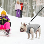 SCENEREAL Winter Dog Vest Coat with Harness Built In, Warm Puppy Jacket for Small Medium Dogs, Cold Weather Coat with Zipper, Fleece Puffer Vest Windproof Snow Clothes