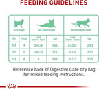 Royal Canin Feline Care Nutrition Digestive Care Adult Thin Slices in Gravy Cat Food, 3 oz (Pack of 12)
