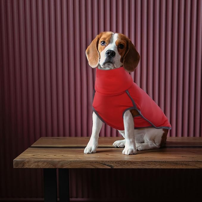 ROZKITCH Dog Winter Coat Soft Pullover Pajamas, Pet Windproof Warm Cold Weather Jacket Vest Cozy Onesie Jumpsuit Apparel Outfit Clothes for Small Medium Large Dogs Walking Sleep BrightRed 2XS