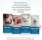 E.M&S.T by Emmeliestella Small Dog & Cat Toothbrush 360 Degree Soft Silicone, Cat Dental Care, Toothbrush Holder, Easy to Handle, Independent Packaging, Extra Suction Cup, Light Blue&Light Pink 3PCS