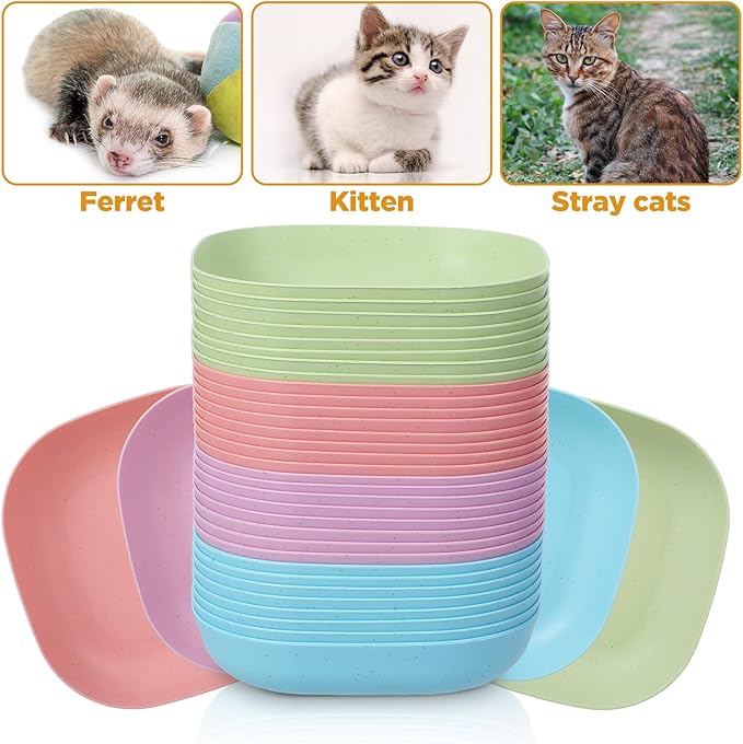 32 Pcs Fatigue Relief Cat Bowl 5.5 Inch Shallow Cat Food Dish Tray Wet Feeding Bowls Wide and Small Pet Plates for Short Legged Kitten,Ferrets,Kitten Shelter(Blue, Green, Pink, Beige)