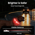 MASBRILL Light Up Dog Collar - RGB LED, Rechargeable, Water-Resistant Glow Up Night Walking Collar for Small to Large Dogs